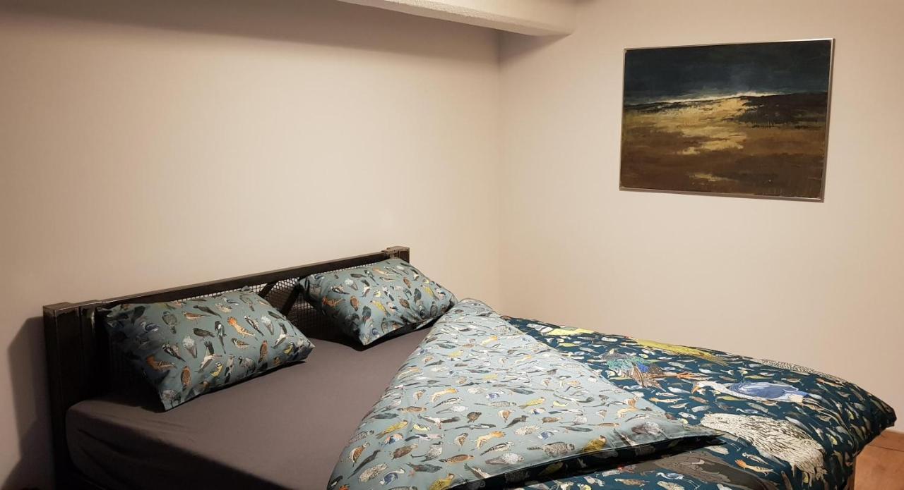 Loft Hiellego Apartment Zyrardow